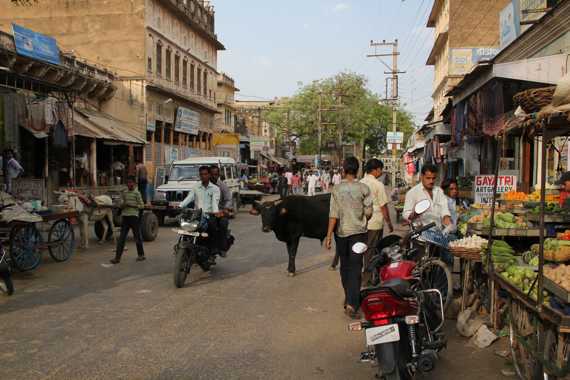 viaje a india