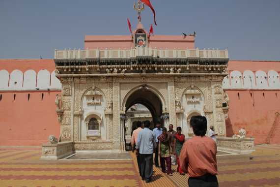 templo de las ratas Karni Mata en india