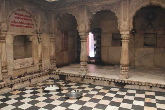 templo de las ratas Karni Mata en india