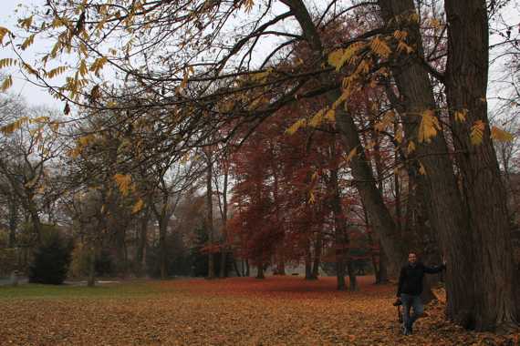 que ver en munich