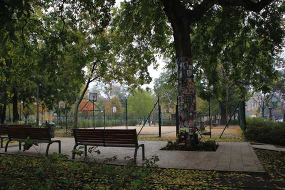 budapest en un viaje a hungria
