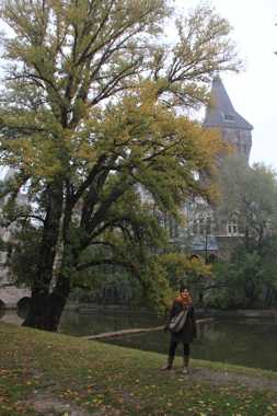 castillo vajdahunyad de budapest