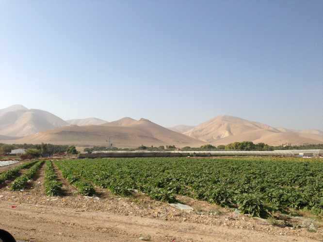 viaje a israel en coche de alquiler