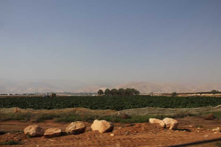viaje a israel en coche de alquiler