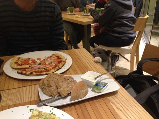restaurante en mar muerto