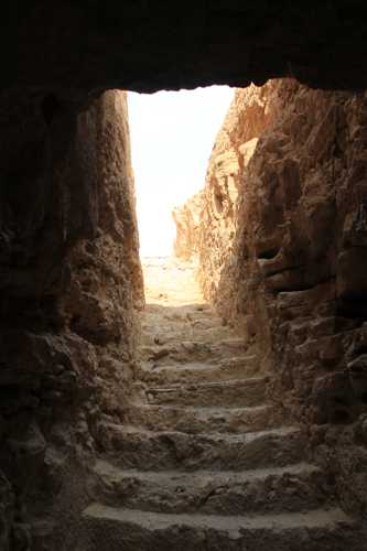 masada en un viaje a israel masada en un viaje a israel