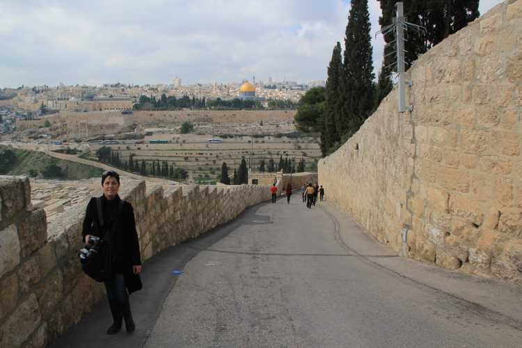 monte de los olivos en jerusalen monte de los olivos en jerusalen
