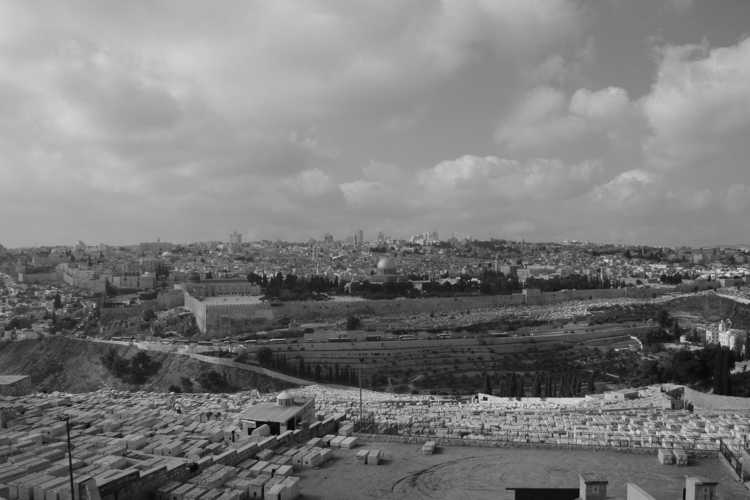 monte de los olivos en jerusalen monte de los olivos en jerusalen