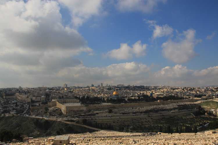 monte de los olivos en jerusalen monte de los olivos en jerusalen