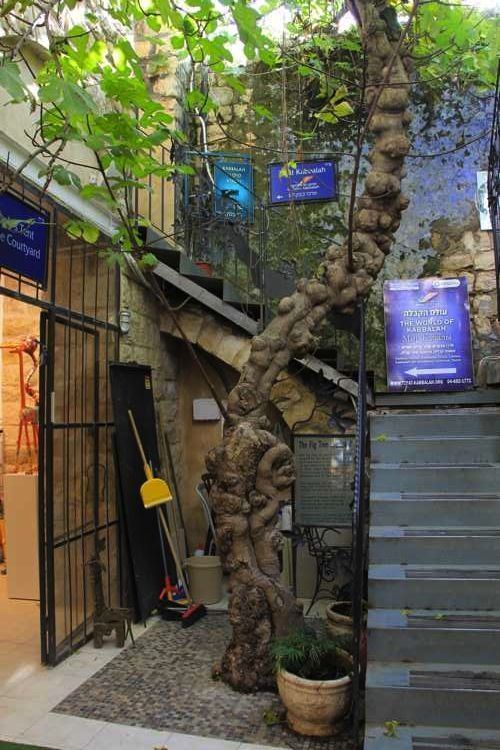 safed en un viaje a israel safed en un viaje a israel