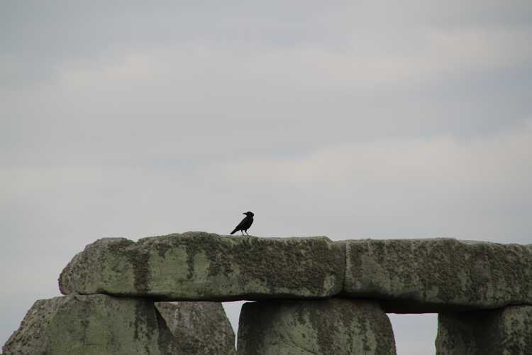 stonehenge desde salisbury stonehenge desde salisbury