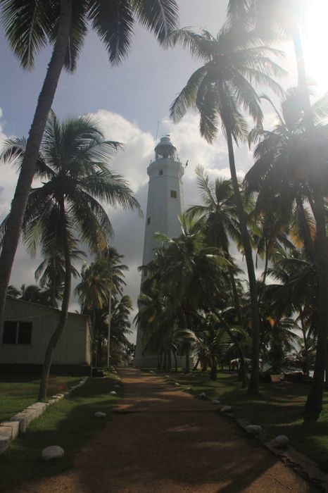 faro de dondra