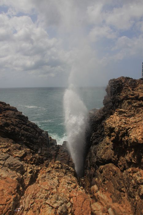 blow hole