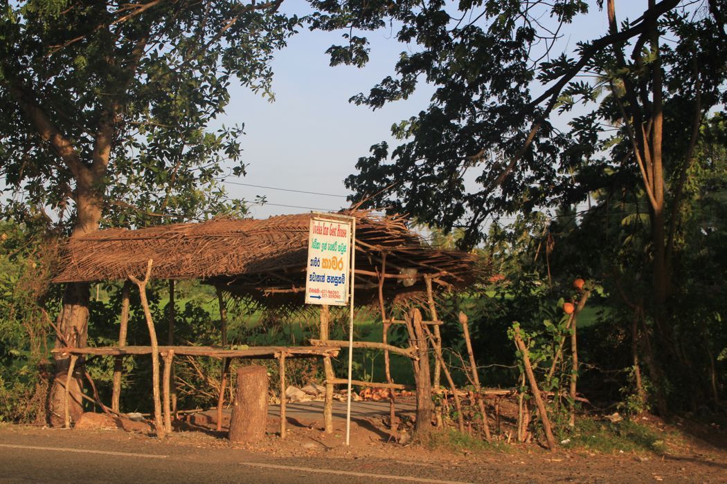 tissa