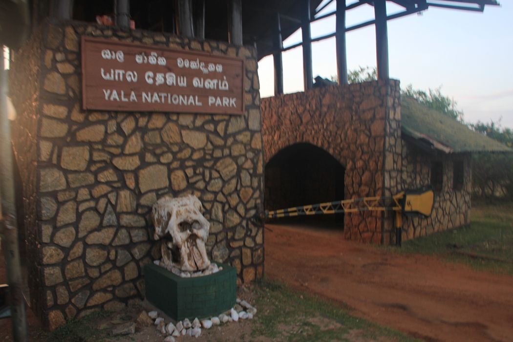 entrada de yala entrada de yala