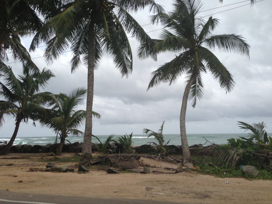 del aeropuerto de Negombo a mirissa