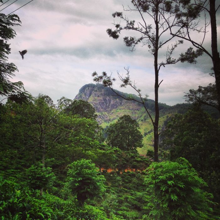 little adam\'s peak