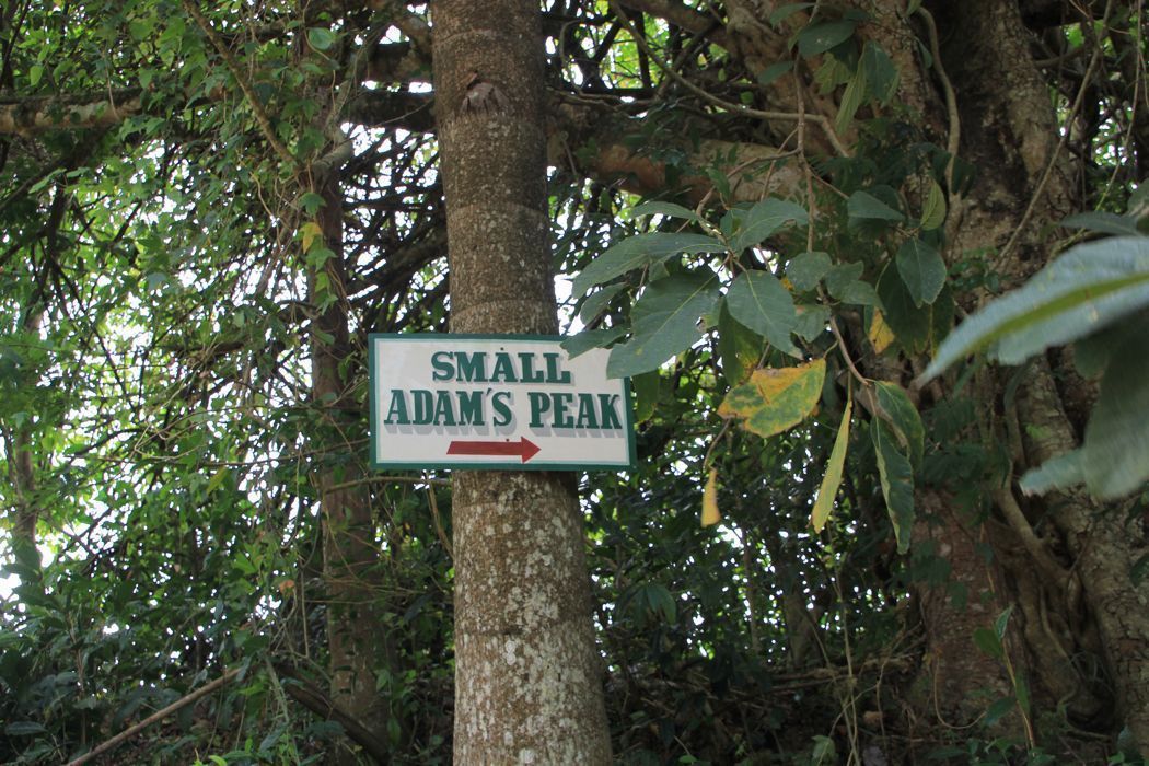 little adam\'s peak
