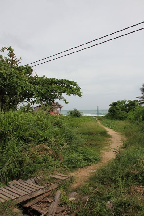 playa de mirissa