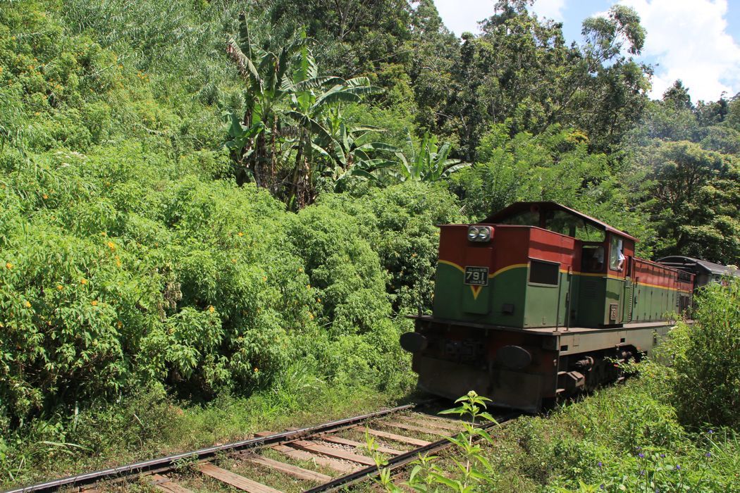 recorriendo las vías del tren en ella en las tierras altas de sri lanka recorriendo las vias del tren en ella en las tierras altas de sri lanka