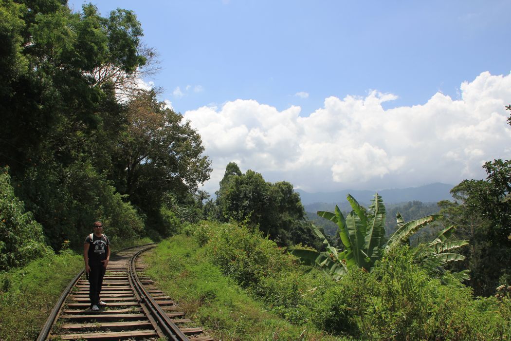 recorriendo las vías del tren en ella en las tierras altas de sri lanka recorriendo las vias del tren en ella en las tierras altas de sri lanka