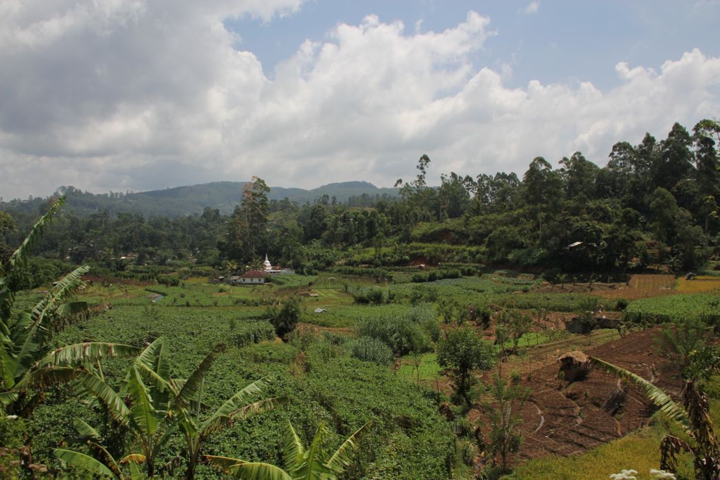 tren de ella a nuwara eliya tren de ella a nuwara eliya