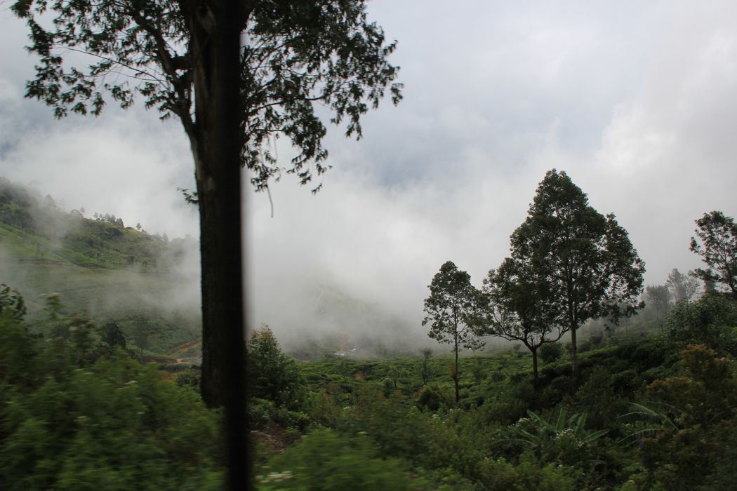 viaje a sri lanka y maldivas