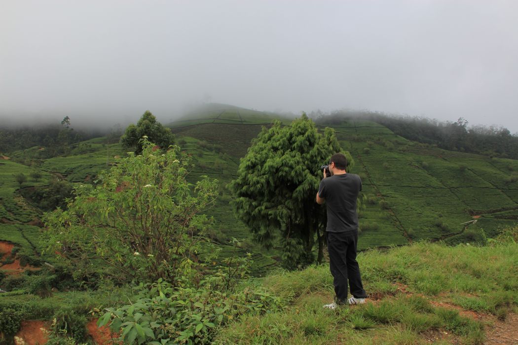 campos de te de nuwara eliya campos de te de nuwara eliya