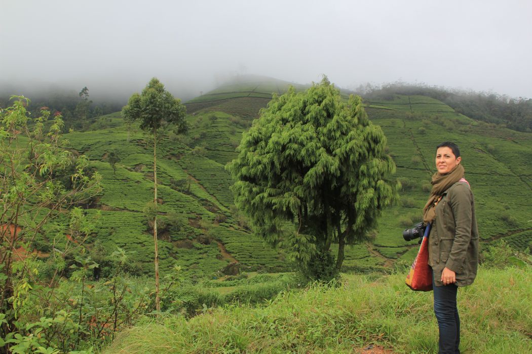 campos de te de nuwara eliya campos de te de nuwara eliya