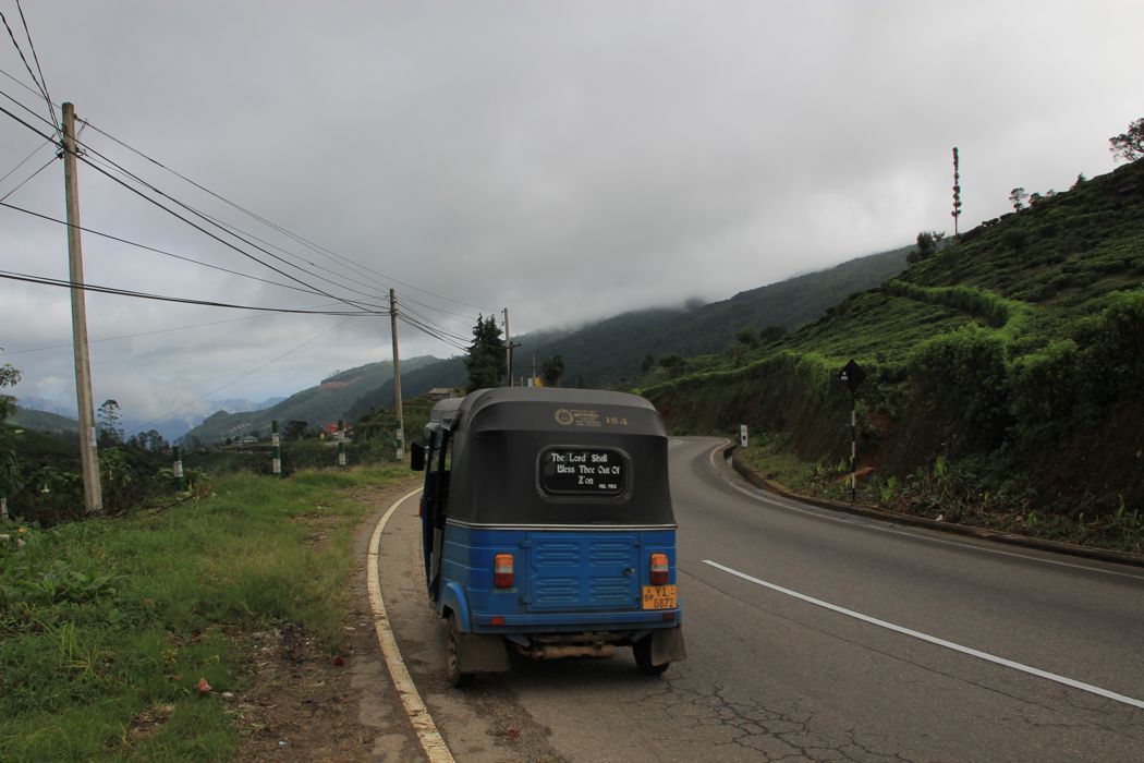 campos de te de nuwara eliya campos de te de nuwara eliya