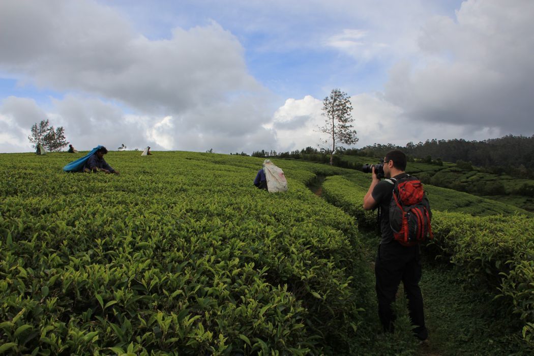 tierras altas de sri lanka