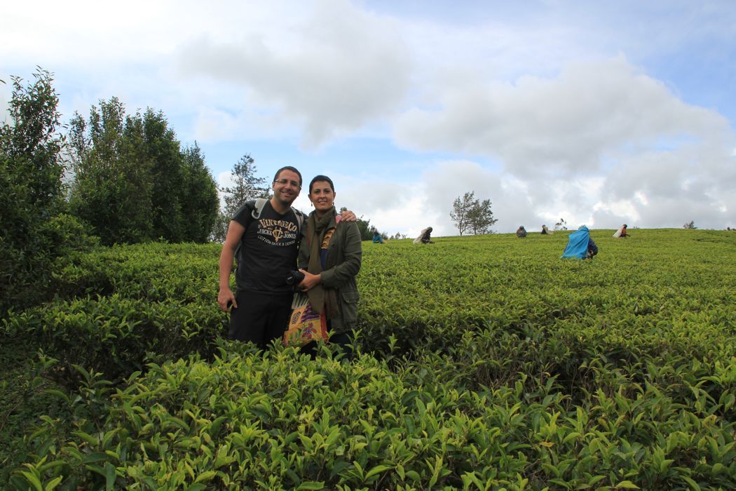 tea pluckers en nuwara eliya tea pluckers en nuwara eliya