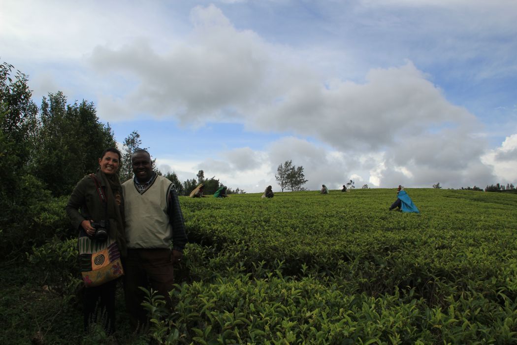 tea pluckers en nuwara eliya tea pluckers en nuwara eliya