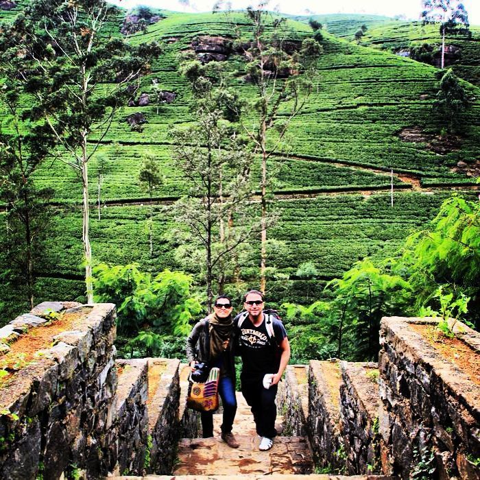 campos de te en nuwara eliya campos de te en nuwara eliya