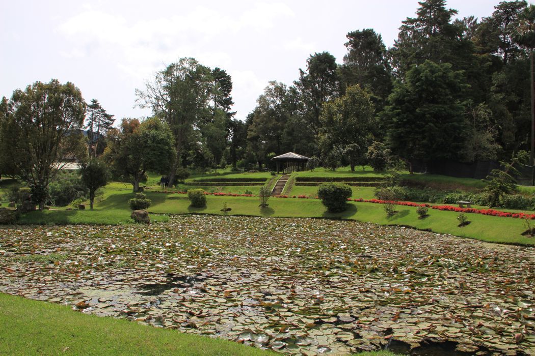 victoria park en nuwara eliya victoria park en nuwara eliya
