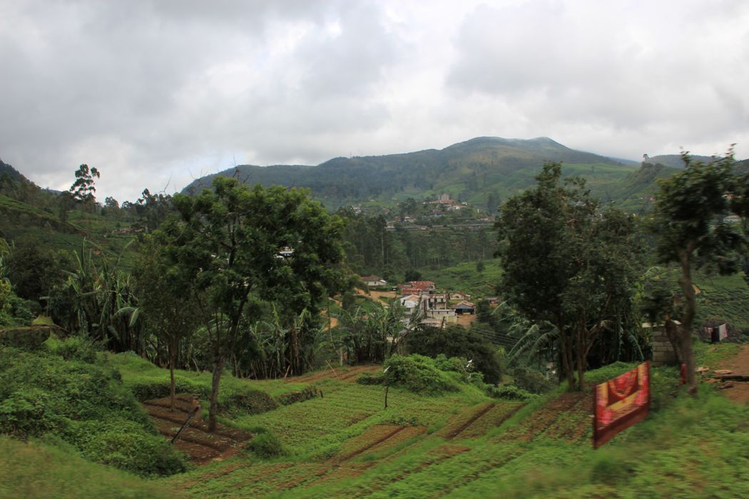 tren de nuwara eliya a kandy tren de nuwara eliya a kandy
