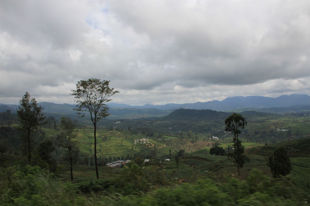 tren de nuwara eliya a kandy tren de nuwara eliya a kandy
