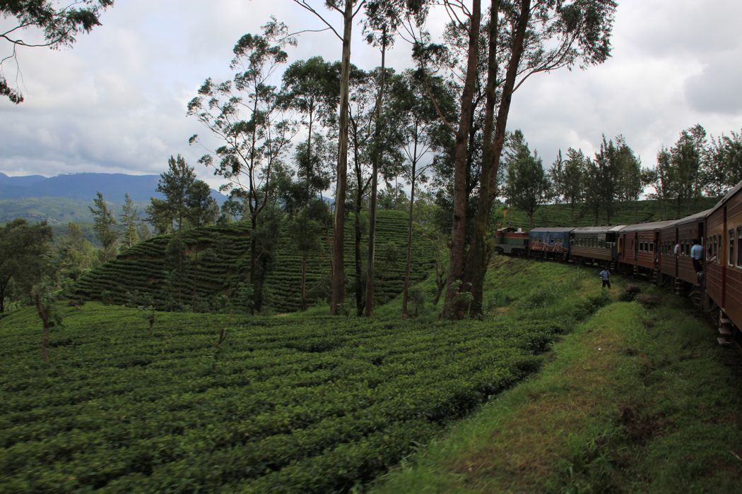 tren de nuwara eliya a kandy tren de nuwara eliya a kandy