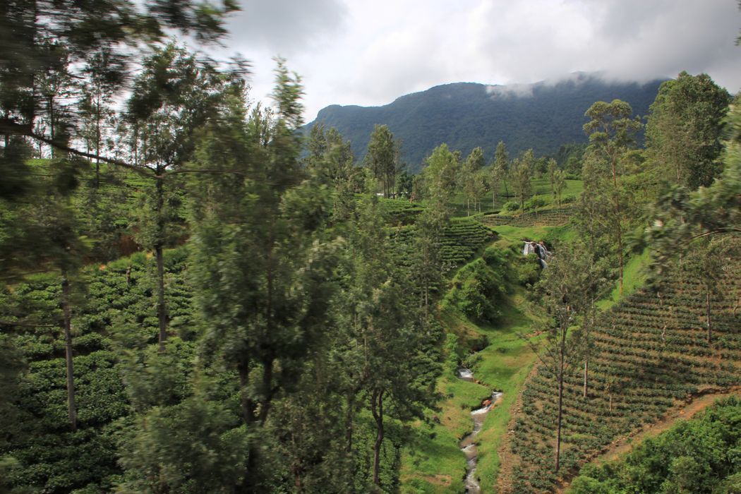 tren de nuwara eliya a kandy tren de nuwara eliya a kandy