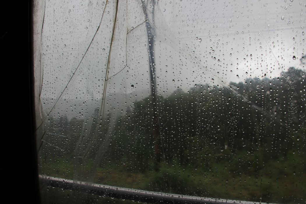 tren de nuwara eliya a kandy tren de nuwara eliya a kandy