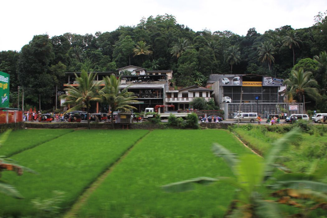tren de nuwara eliya a kandy tren de nuwara eliya a kandy