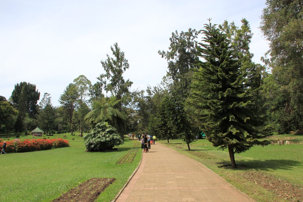 victoria park en nuwara eliya victoria park en nuwara eliya