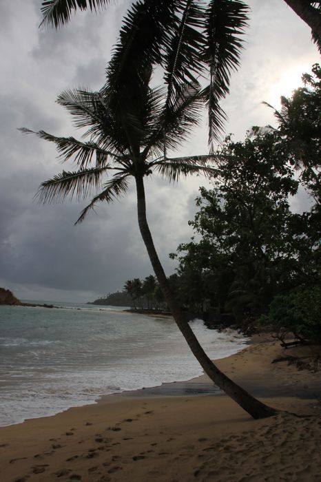 playa de mirissa