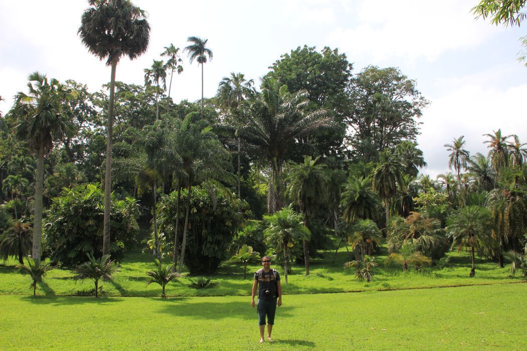 jardin botanico de kandy jardin botanico de kandy