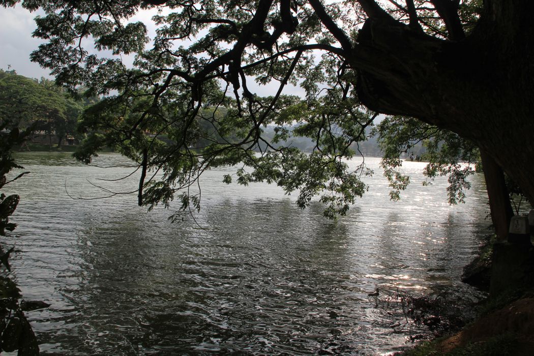 lago de kandy lago de kandy