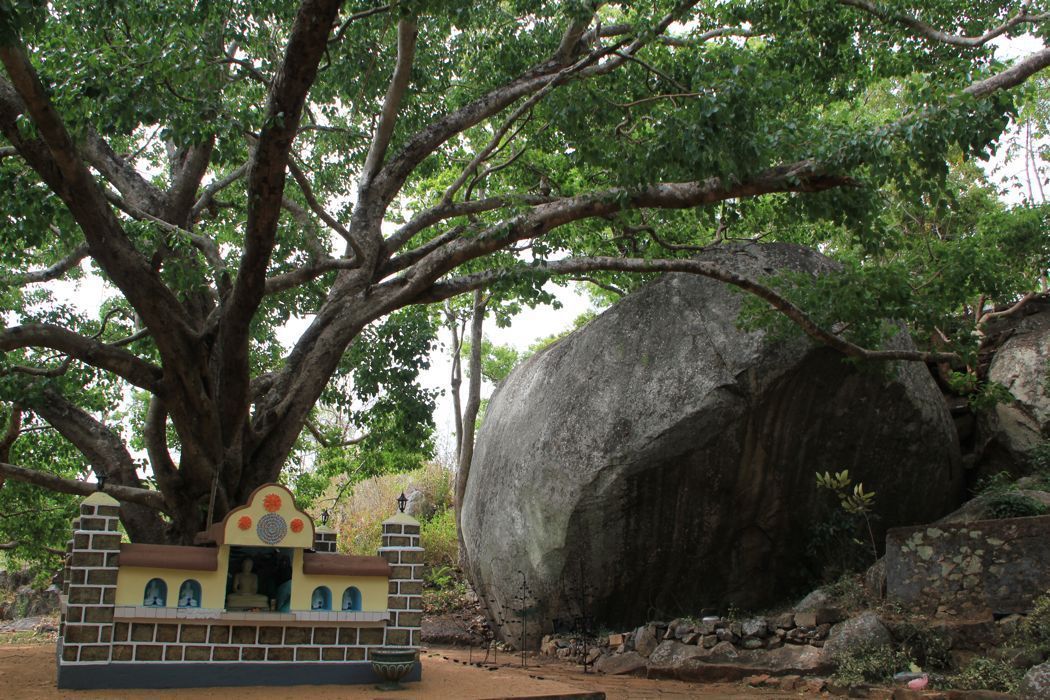 pidurangala pidurangala