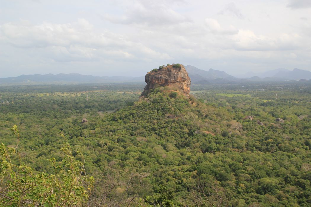 pidurangala pidurangala