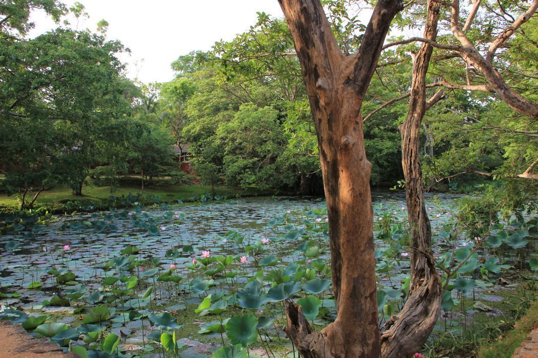 sigiriya sigiriya