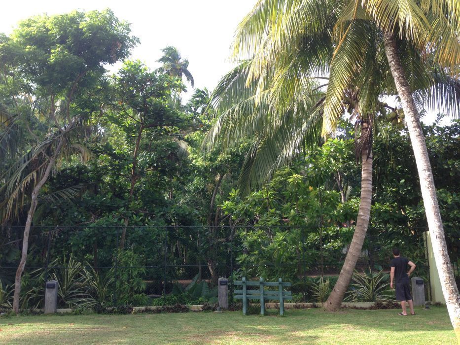 riverside cabanas hotel en mirissa riverside cabanas hotel en mirissa