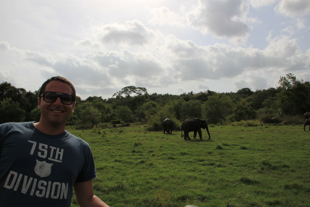 safari en minneriya safari en minneriya